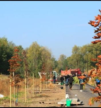 30 arbres pour le 30ème anniversaire de Purmo, Rybnik